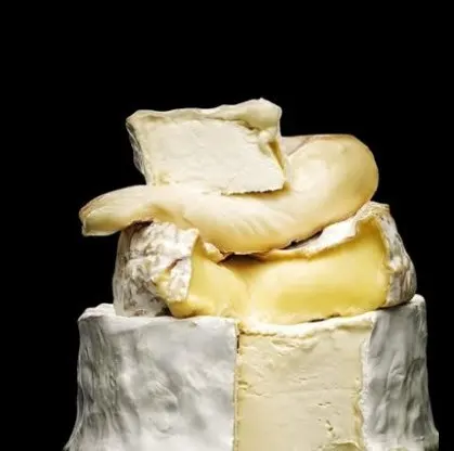 Queso Brie
